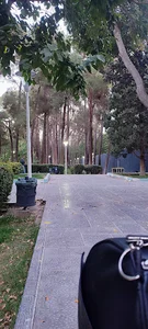 ویس
