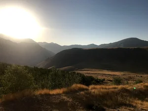 امامزاده عقیل (ع)