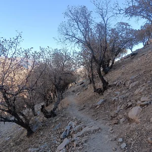 ڕێ هانێوان