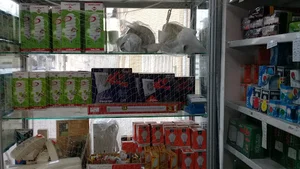 الکتریکی حامد