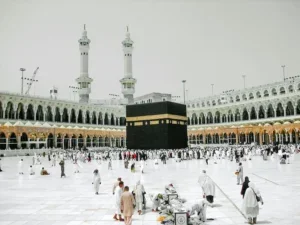 بسیج مردمی امام زمان عج