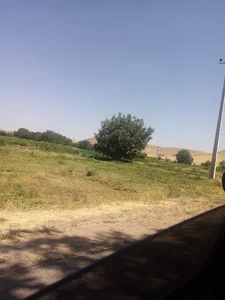 باغ باروقی