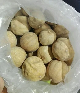 عطاری سید امیر