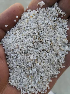سیلیس امید