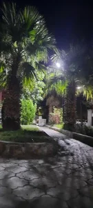 بوستان کودک 2