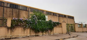 استخر اروند بوارده