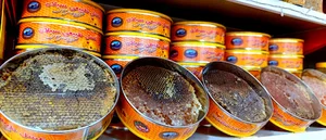 عسل سبلان دهقان