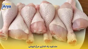 سوپر گوشت برادران دخت صفر