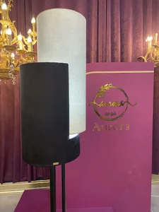 هنر و صنعت آرورا