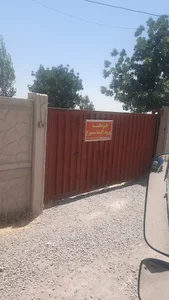 مرغداری تخم گذار(به‌صورت کوهپایه)