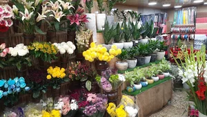 گل سرای شکوفه