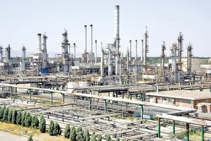 Atusa sansat co.