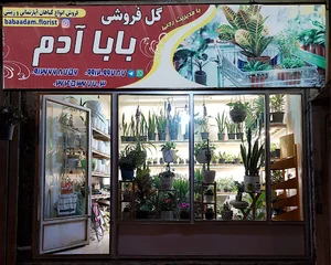 گلفروشی بابا آدم