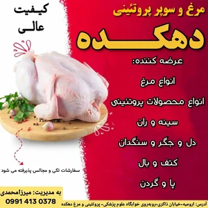 سوپر مرغ و پروتئینی دهکده 2
