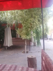 باغ رستوران رز 5