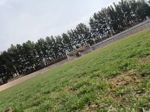 ورزشگاه آزادی