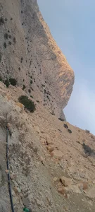 امام زاده بی بی نرگس خاتون