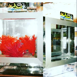 ماهی و آکواریوم صدف