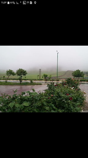 خدمات خودرویی زمانیان