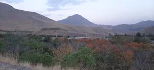 چشمه کندر