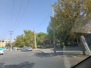 بوستان آلبالو 3