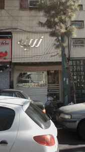 طلا و جواهر زرینه 5