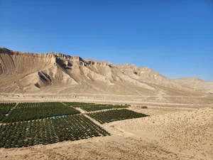 شرکت تعاونی پازن البرز