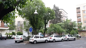 میدان ۲