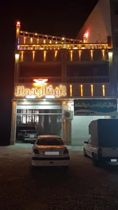 اتوگالری دانا 2