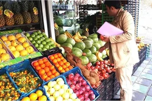 سبزیجات گرین گلد