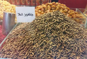 گیاهان دارویی ابن سینا