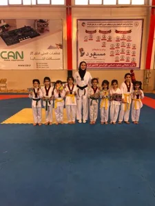 خانه تکواندو 3