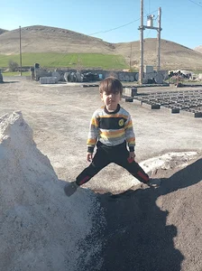 سنقر خیابان ارشاد