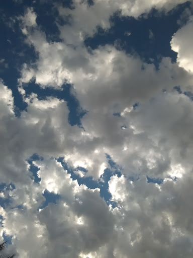 سوپرمارکت جلالی