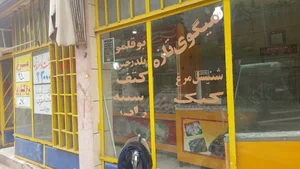 پروتئینی انقلاب-حمیدی 2