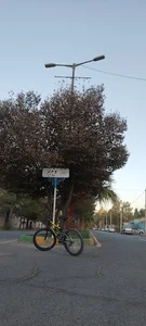 بلوار شهید بارانی