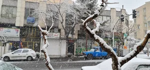 مانی بیمه