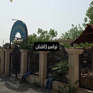 نیاسر