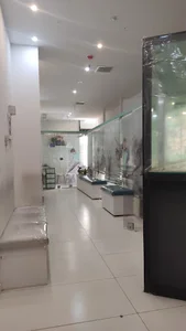 دکتر سید احمد موسوی متخصص دندانپزشکی کودکان
