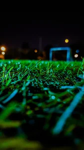 چمن مصنوعی مجاهد