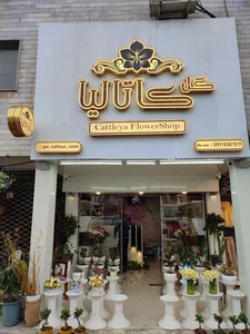 گلسرای کاتالیا 2