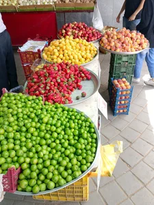 میوه فروشی ملک ری 5