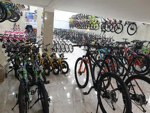 دوچرخه و اسکچرز‌‌‌ اورجینال