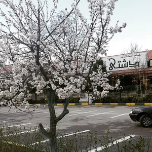صنایع دستی نقشینه