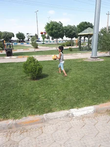 بوستان شقایق