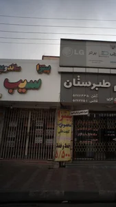 پیتزا ساندویچ سیب 2