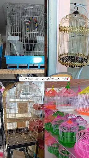 پرنده سرای اکبریان