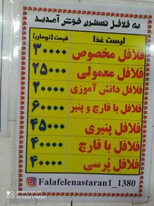 فلافلی نسترن 4