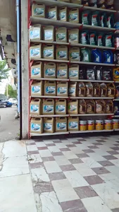 اتو سرويس حنايي