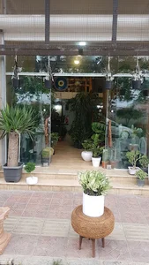هایپر کاکتوس